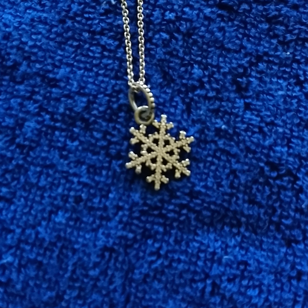 Pandora Winter Kiss Pendant and Chain